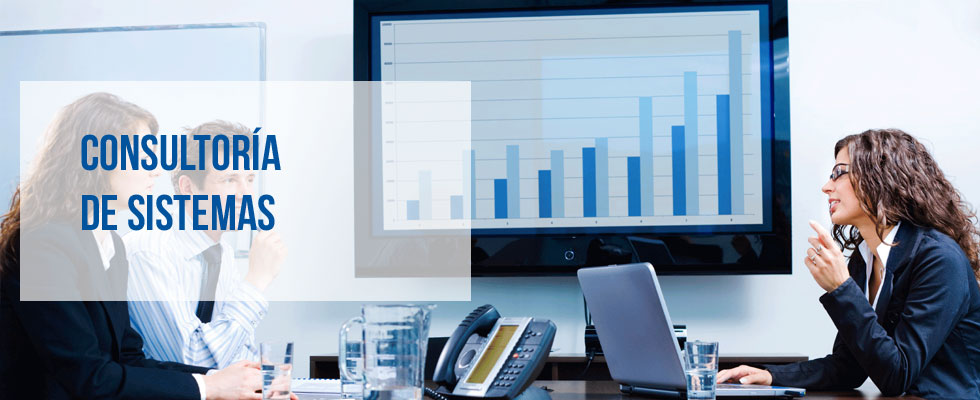 Consultoría de Sistemas
